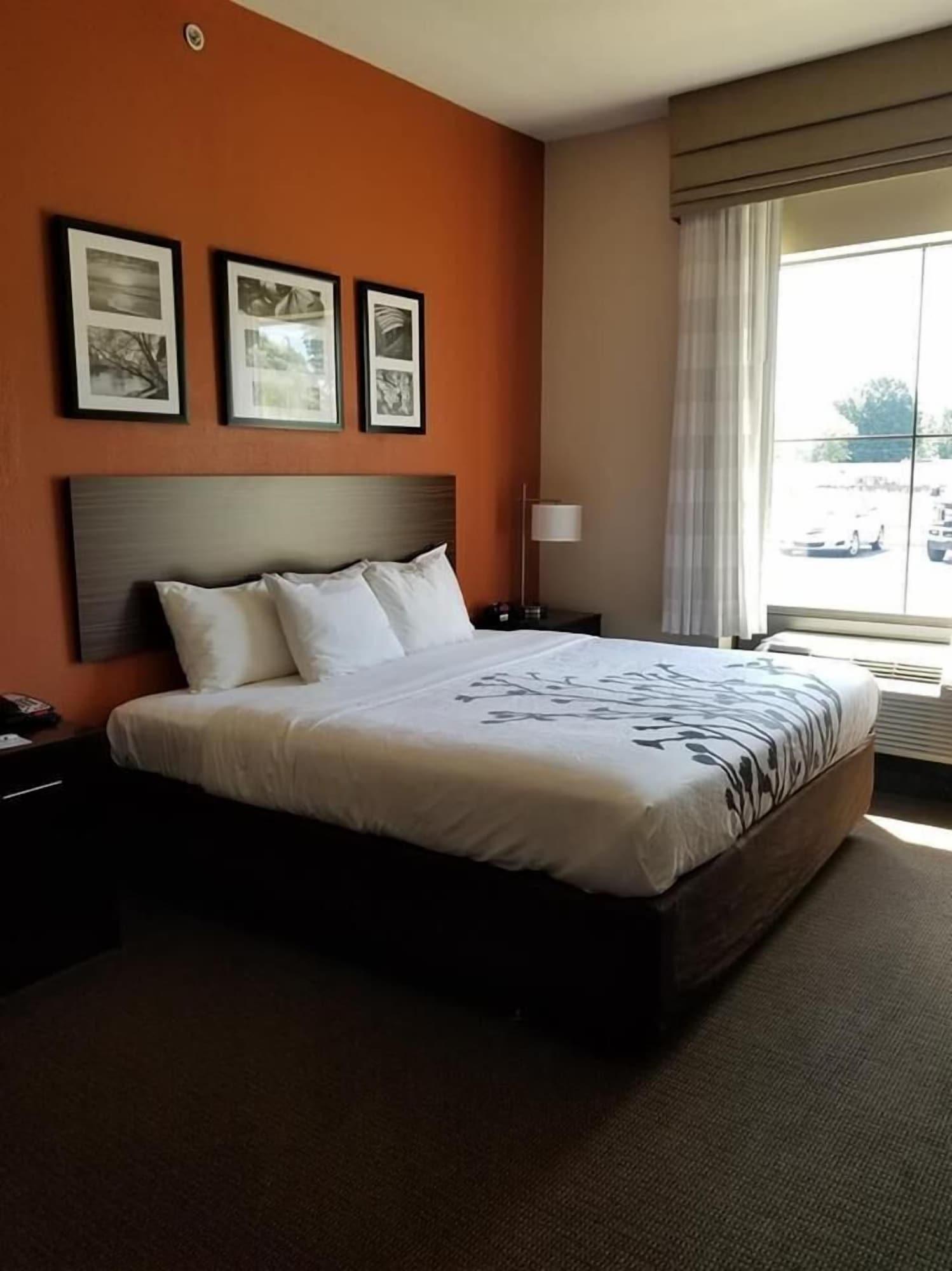 King Room - Accessible/Non-Smoking