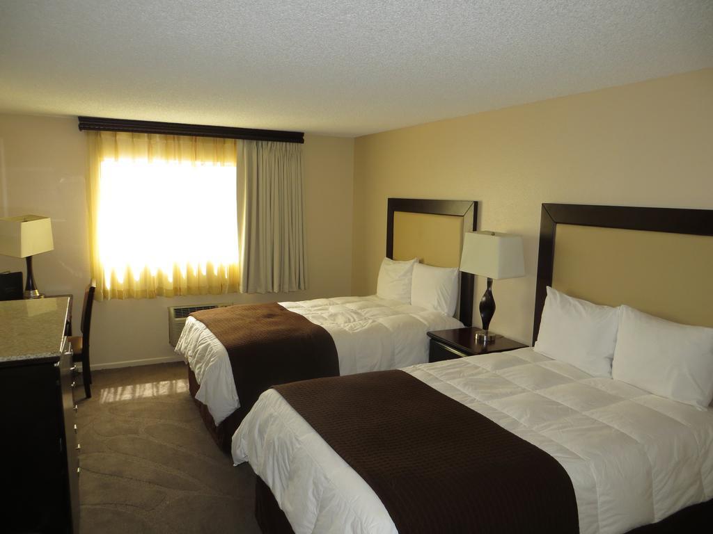 Double Room with Two Double Beds,399284331:JPEG