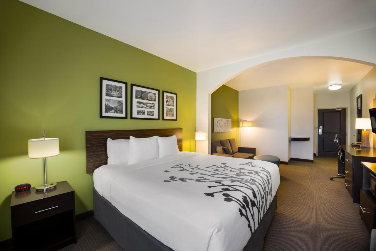 King Suite with Sofa Bed - Non-Smoking,1419152367:JPEG