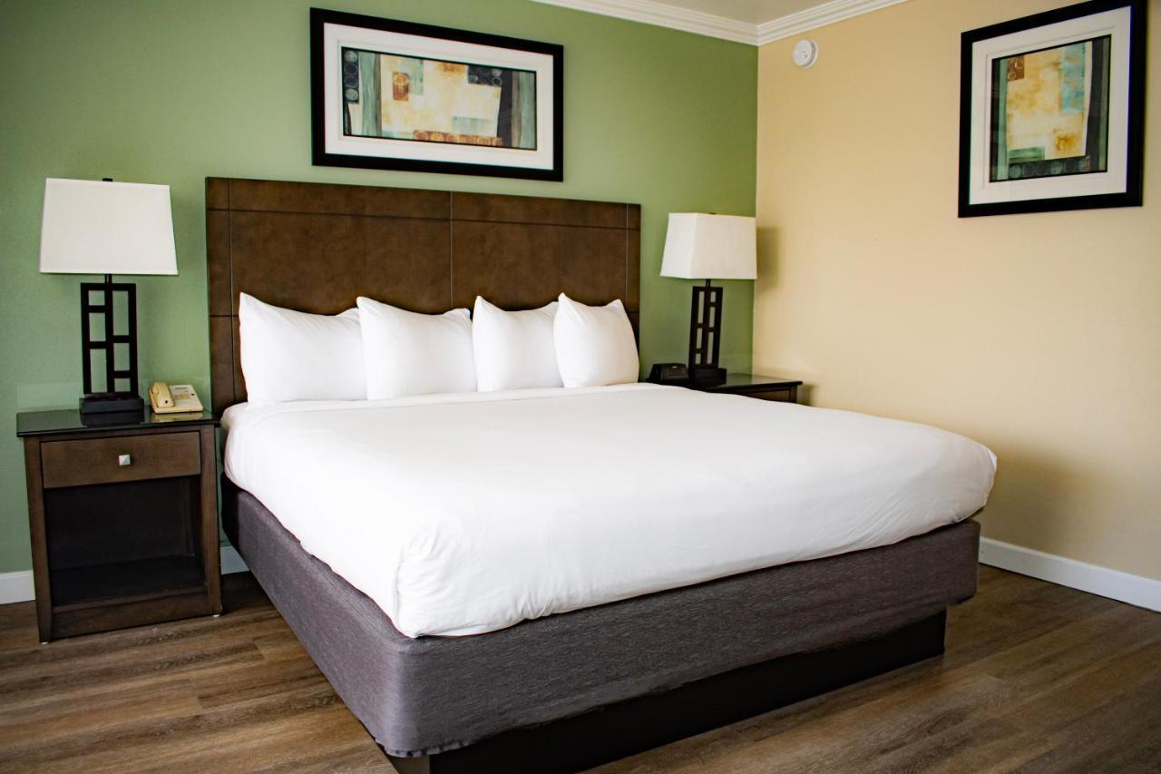 Chambre Lit King-Size - Non-Fumeurs