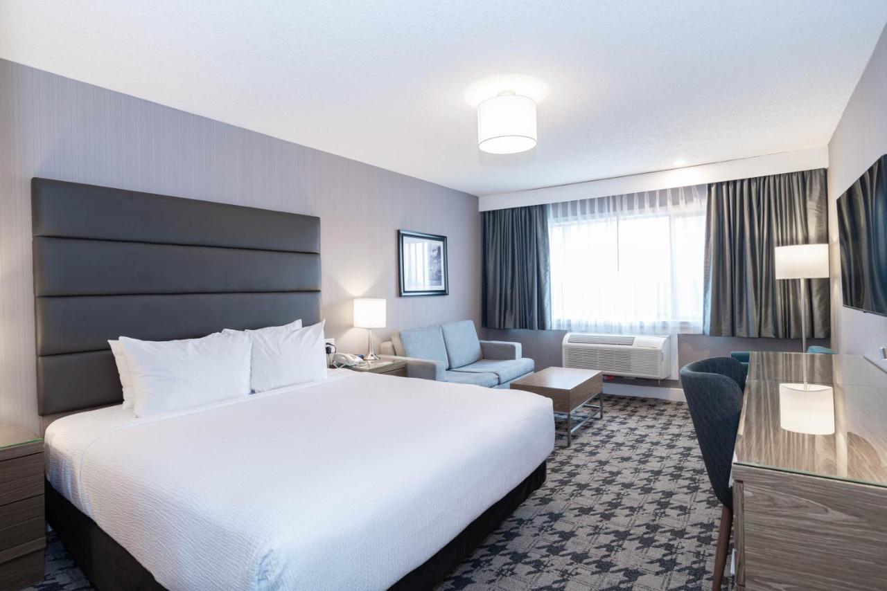 Standard Zimmer mit 1 Kingsize-Bett und Schlafsofa
