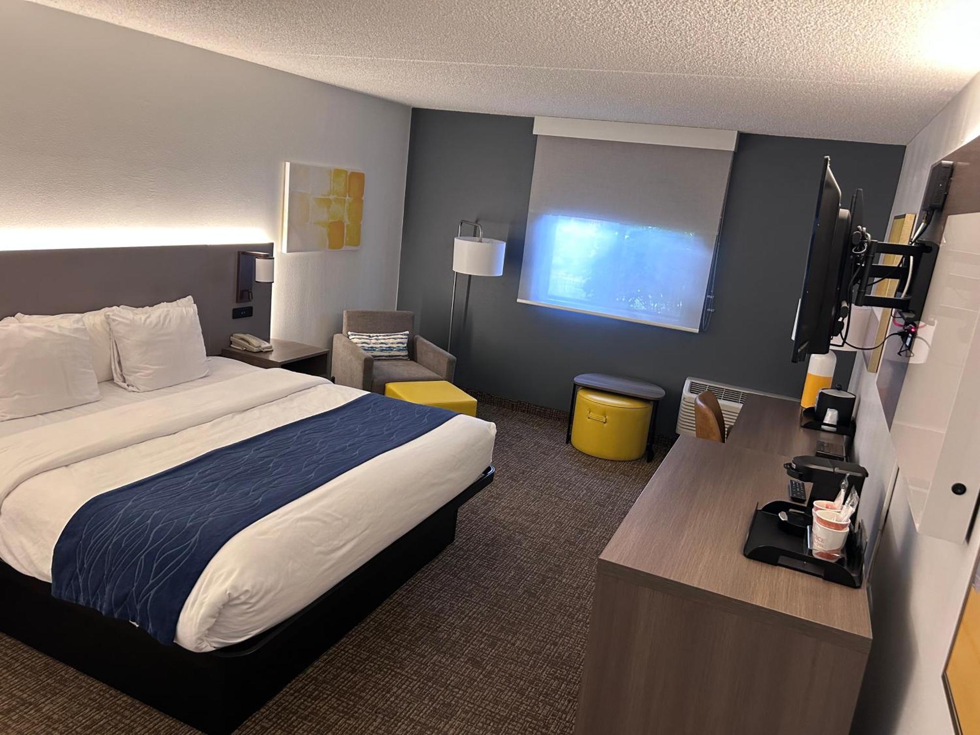Accessible Room, 1 King Bed, Roll-In Shower, Non Smoking,1706628033:JPEG