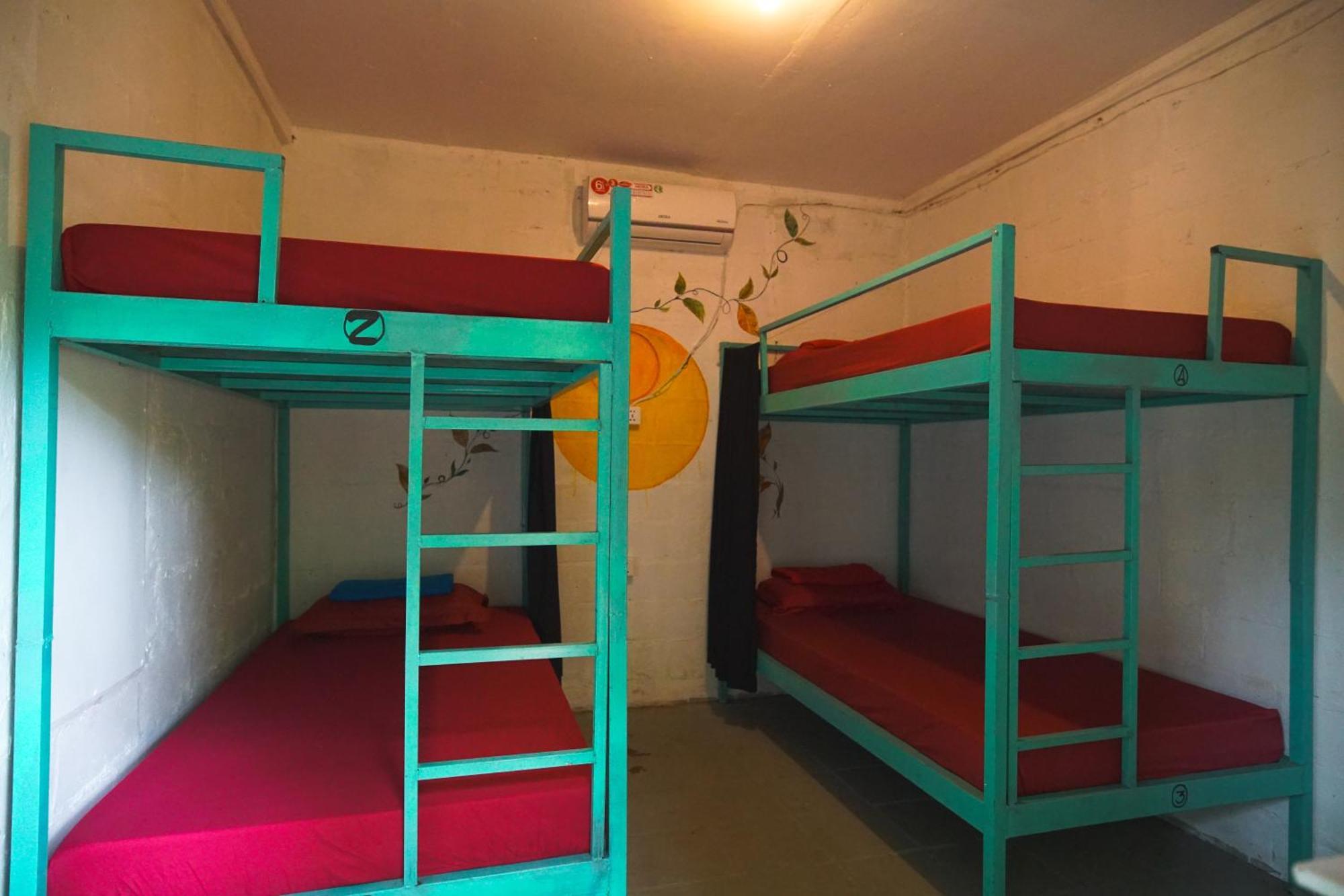 Bed in 4-Bed Mixed Dormitory Room