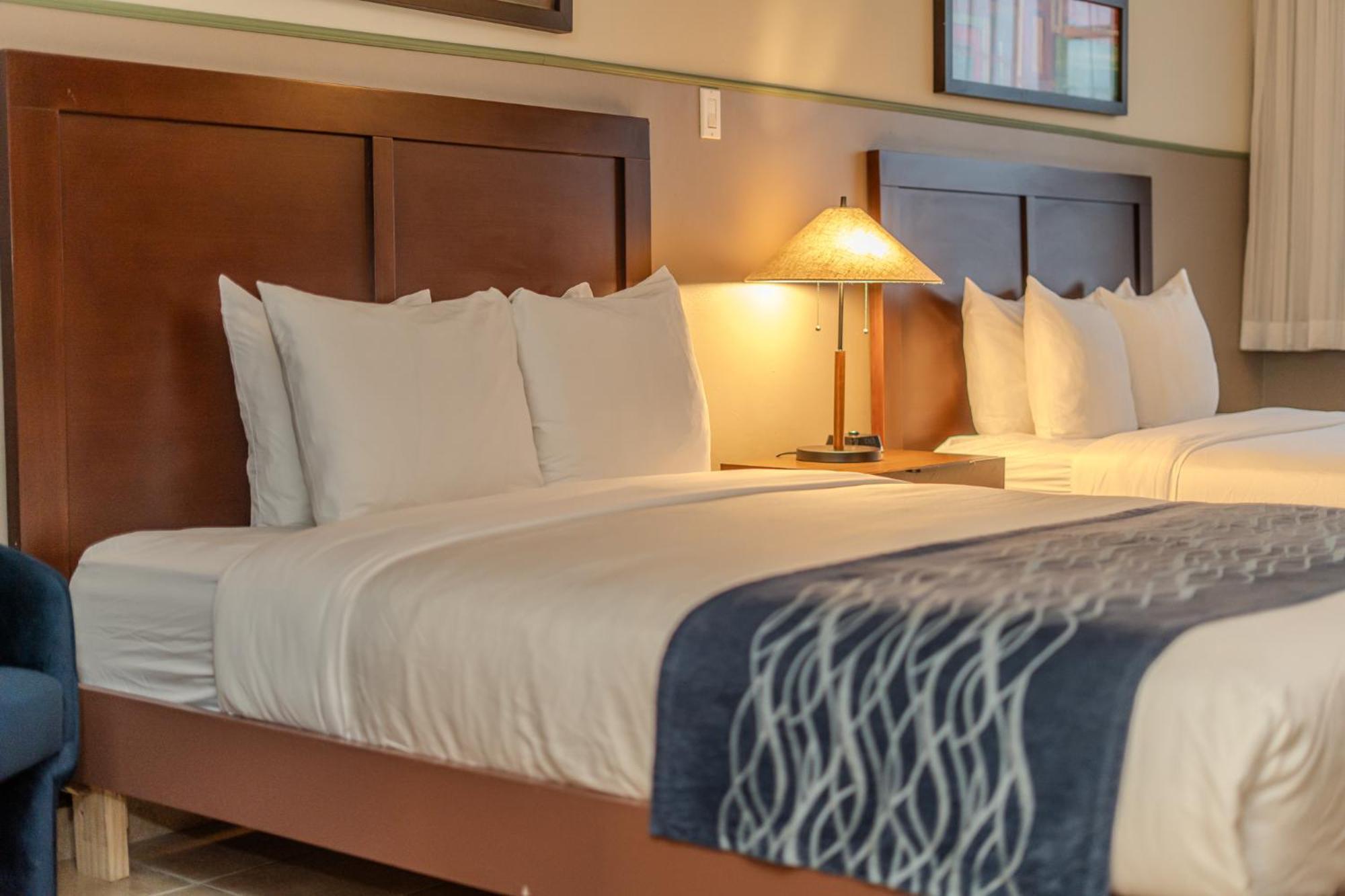 Double Room with Two Double Beds - Non Smoking