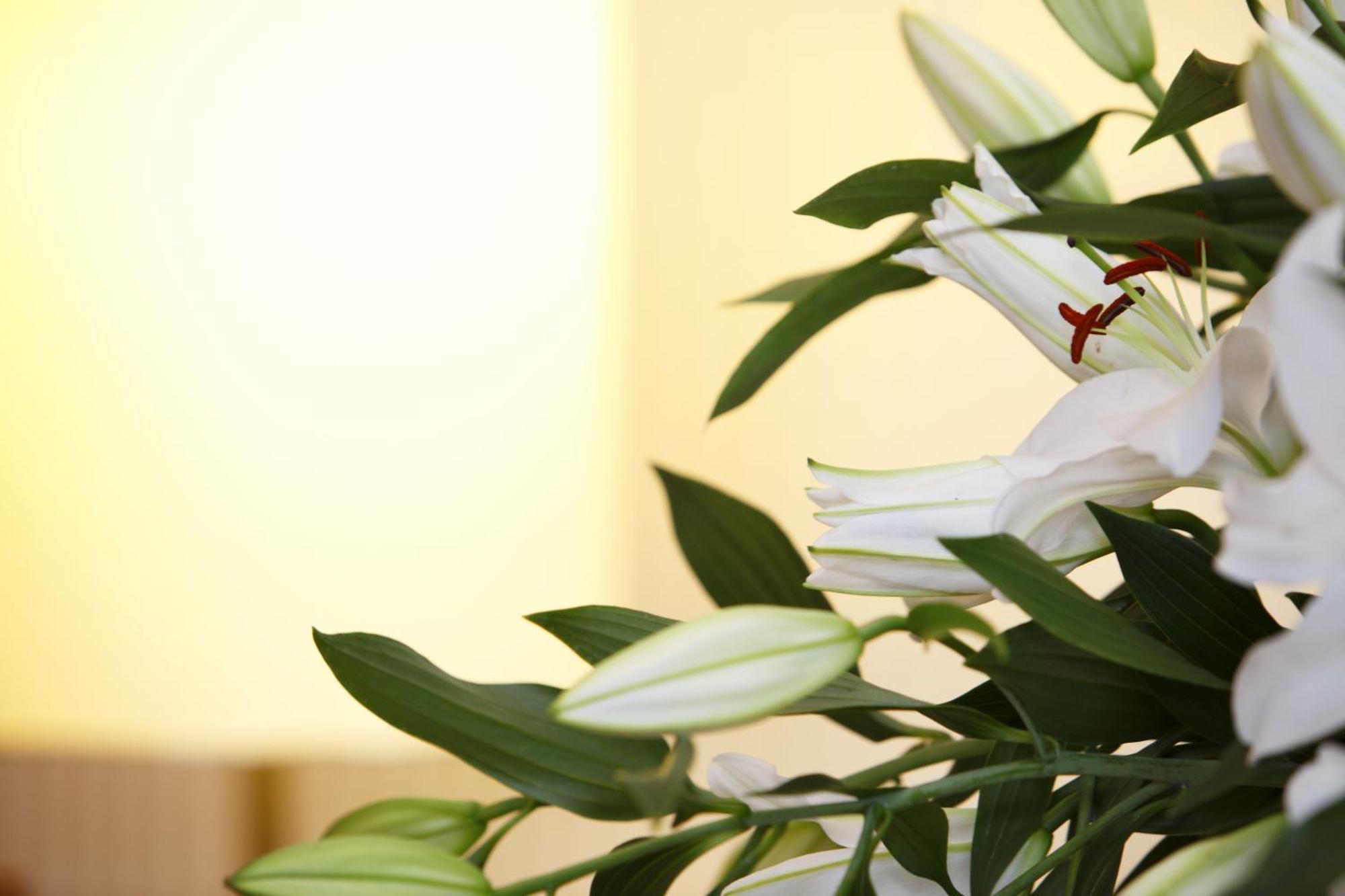 Triple Room with Bathroom,1219263298:JPEG