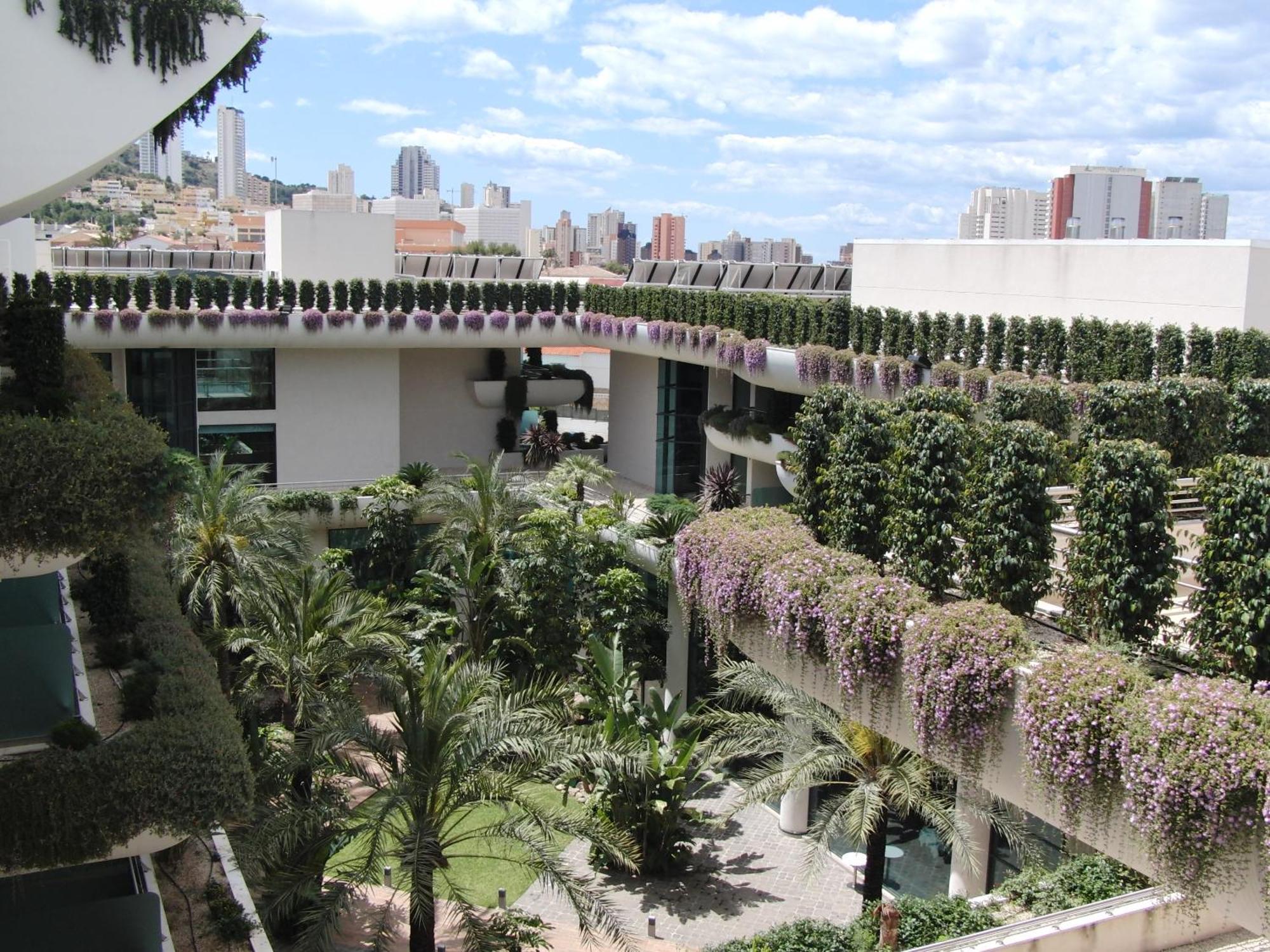 Habitación Individual