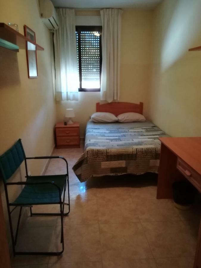 Standard Single Room,796729404:JPEG