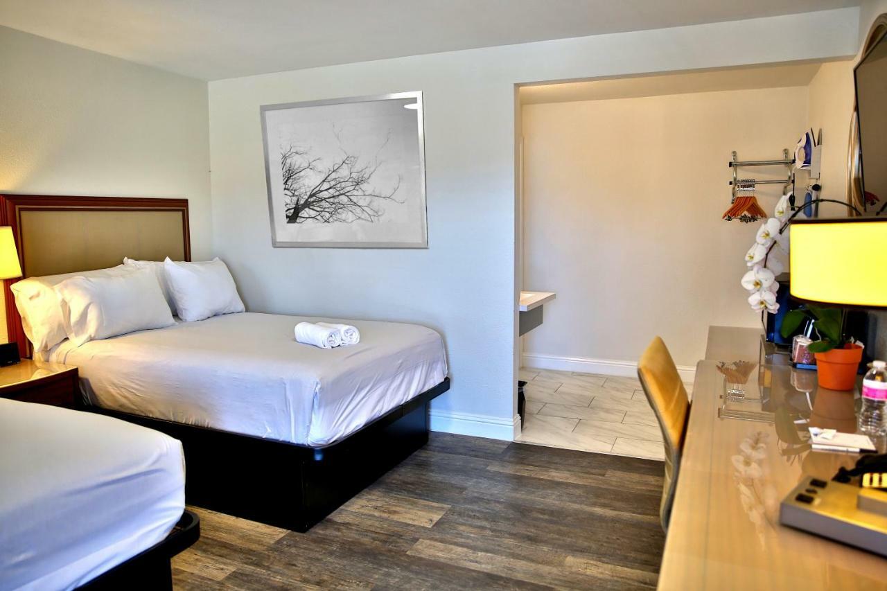 Studio Suite with Two Double Beds - Non-Smoking
