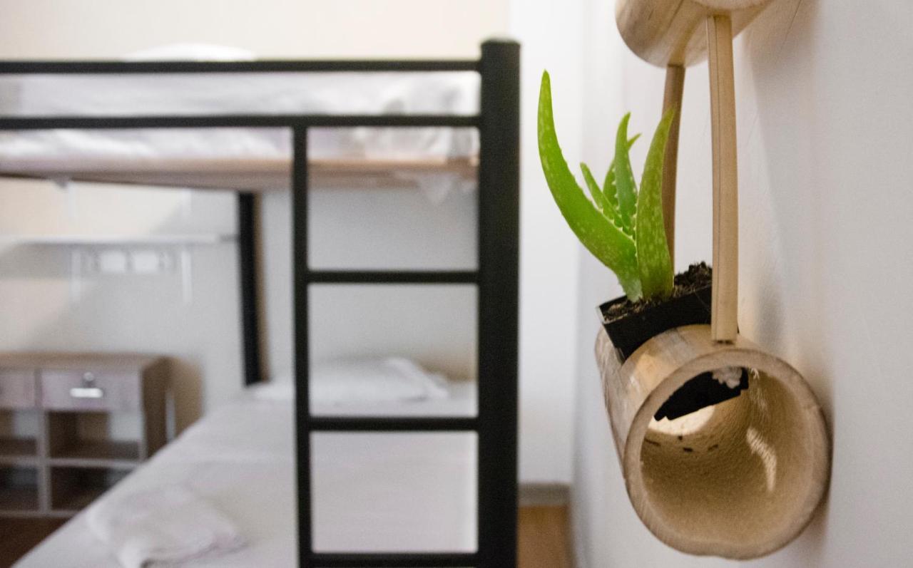 Mixed Dormitory Room