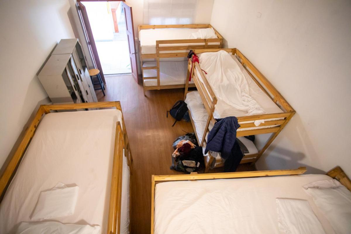 Bed in 8-Bed Mixed Dormitory Room