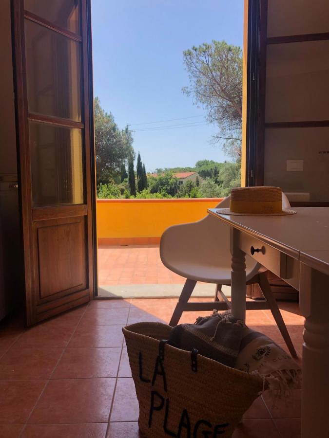 Standard Apartment Terrace,996168652:JPEG