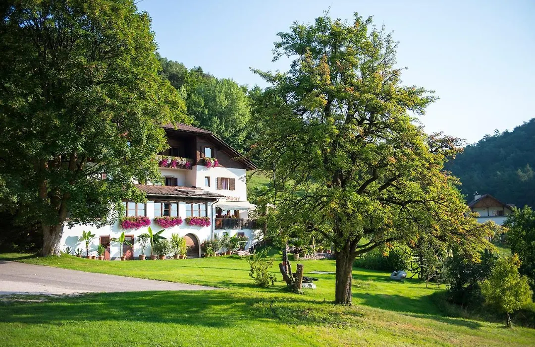 Gasthof Wieser-1