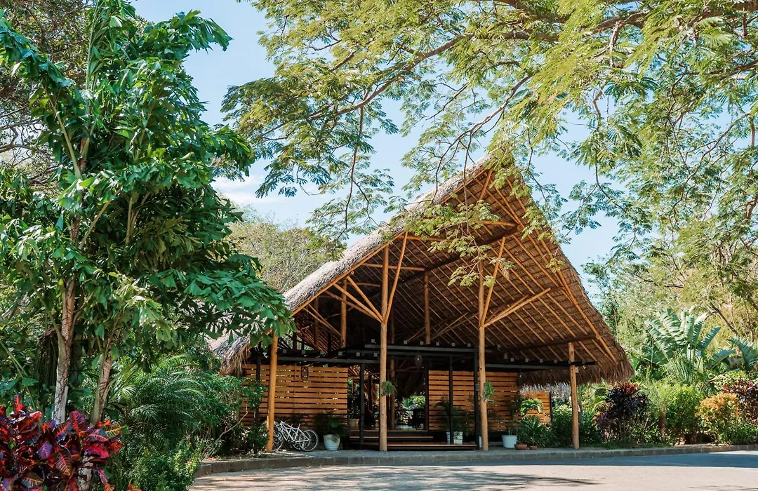 Treecasa Hotel & Resort Nicaragua-1