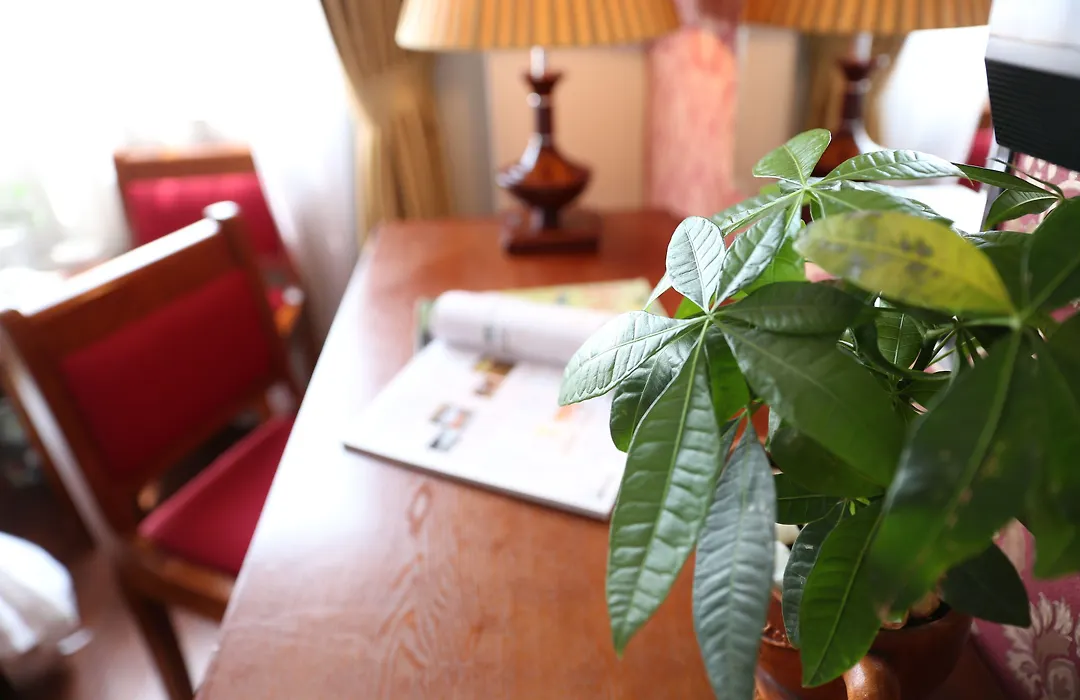 First Eden Hotel - Hang Bun-1