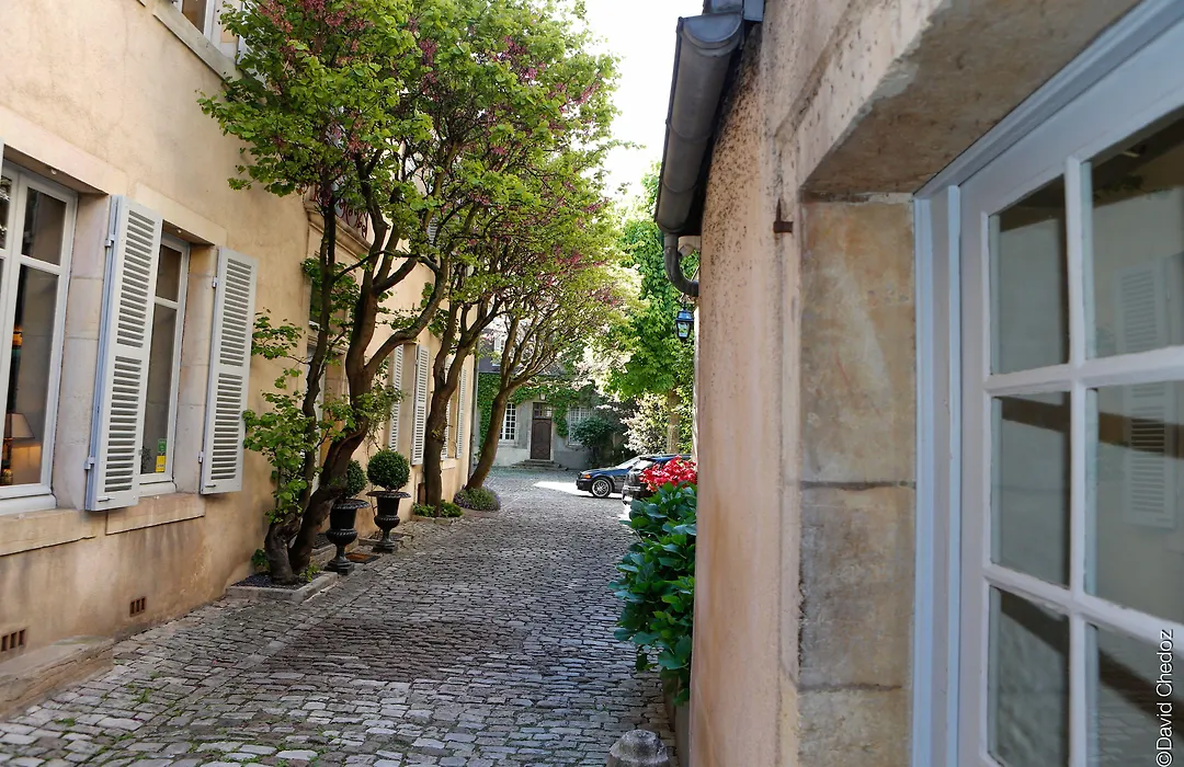 La Cour Berbisey - Teritoria-1