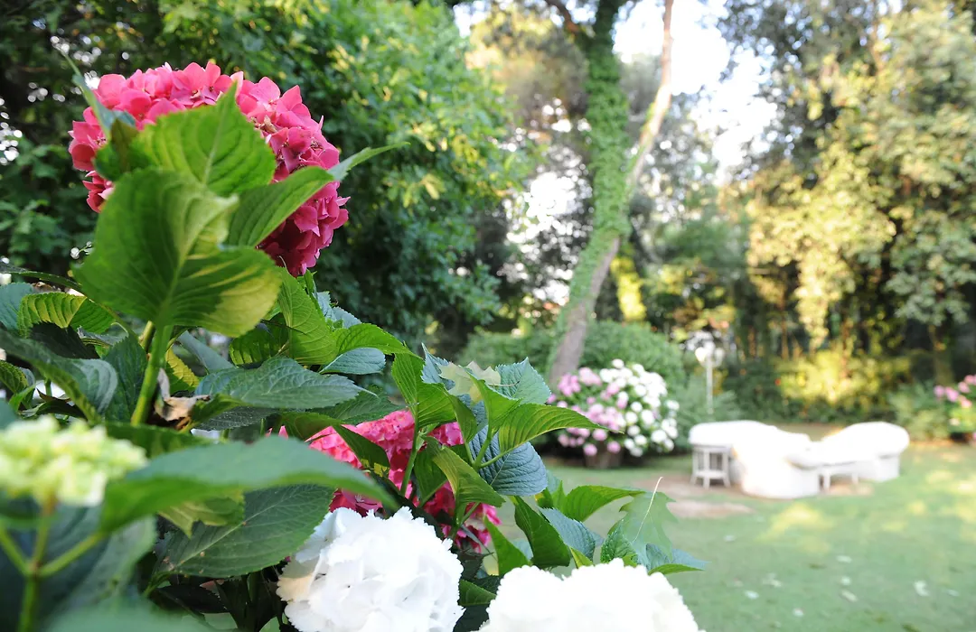 Hotel Villa Maremonti-1