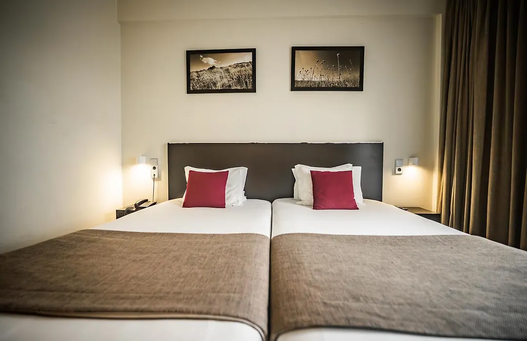 Hotel Sao Pedro - Arouca-1
