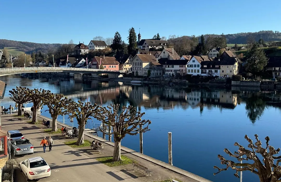 Restaurant&Hotel Rheingerbe-1