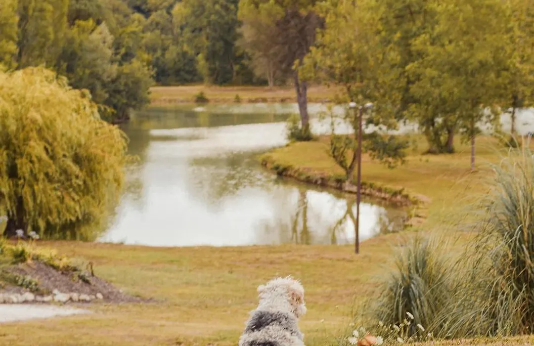 Domaine de Boulouch-1