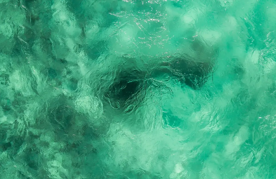 Delek Tulum-1
