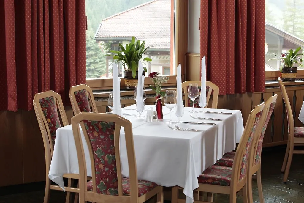 Hotel Alpino Plan-1