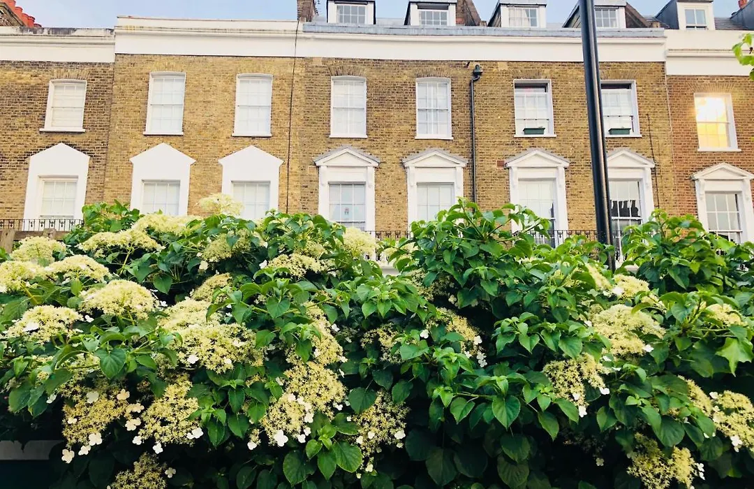 Camden Town Garden Cabin-1