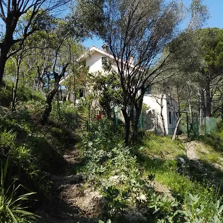 Bella Luminella-2