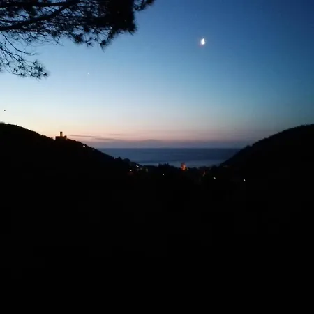 Bella Luminella-3