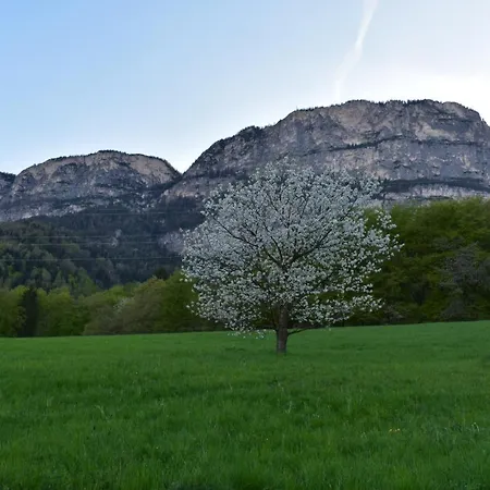 Gasthof Wieser-2