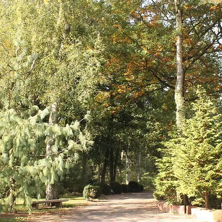 Hotel und Restaurant Waldschlösschen-3