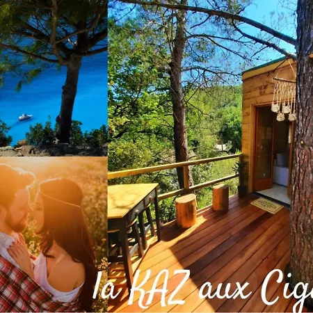 Cabane dans les arbres La Kaz aux Cigales-3
