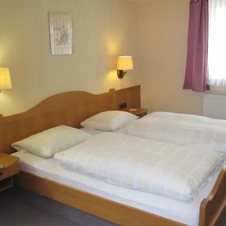Hotel Grüner Baum-3