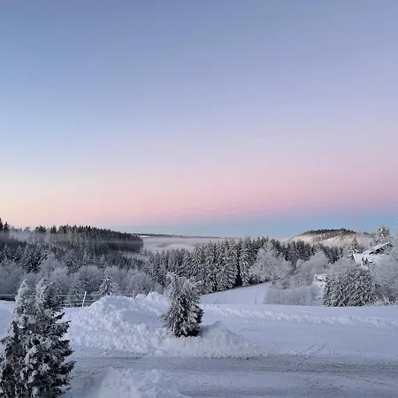 Berghotel Lenneplätze Winterberg-2