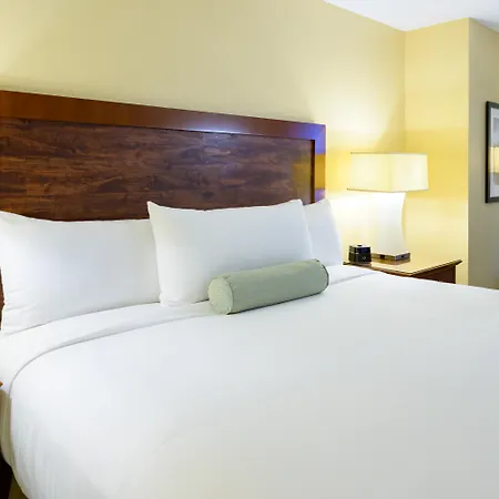 Airtel Plaza Hotel-2