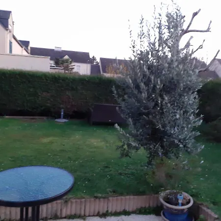 La petite mouette-3