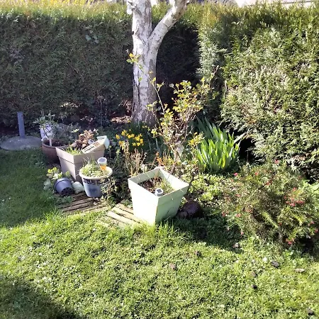La petite mouette-2