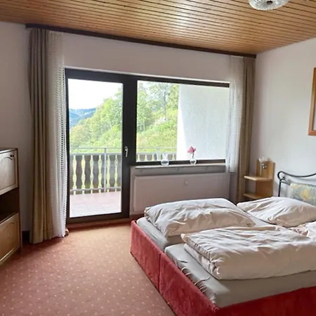 Schwarzwaldblick-3