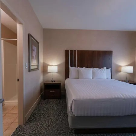 Prestige Cranbrook Hotel, BW Premier Collection-2