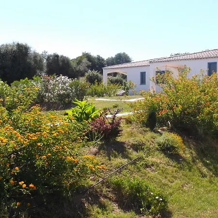 Hotel Baia Cea-3