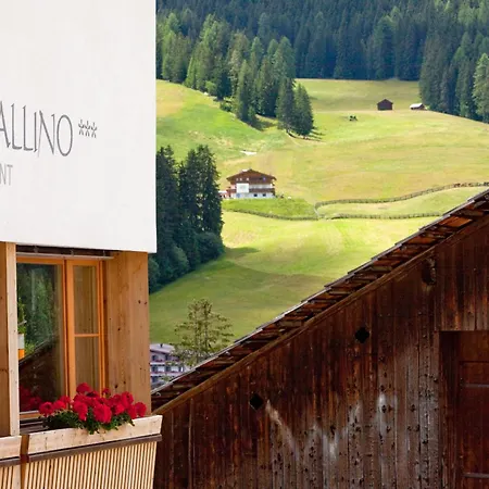 Hotel Cavallino-3