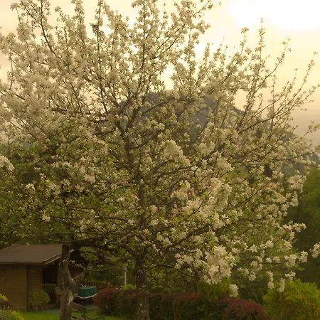 Pension Eckschlager-3