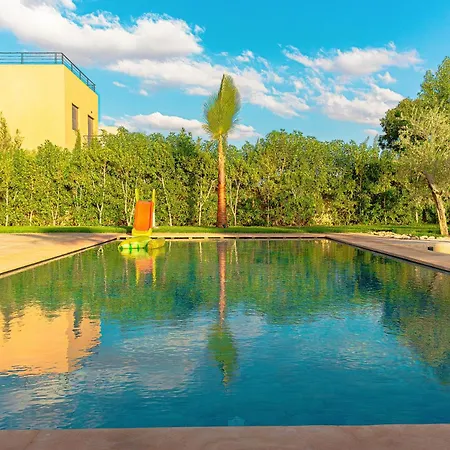 Villa Palm Oasis - Pool - Garden-2