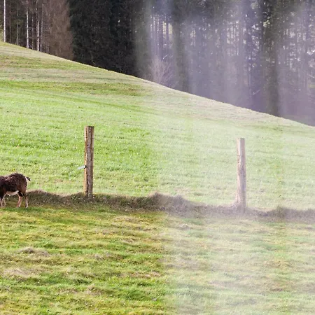 Forellenhof Wald- und Wiesenquartier-3