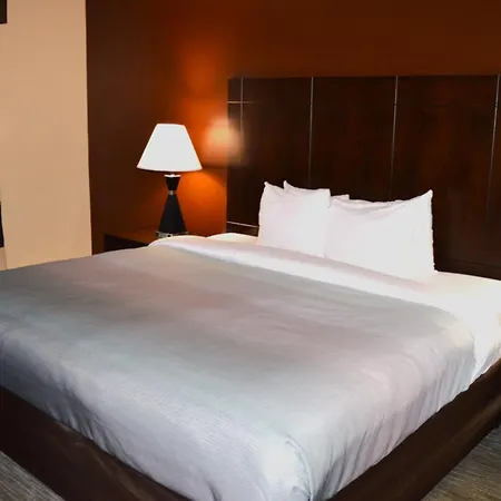 Quality Inn O'Hare Airport-3