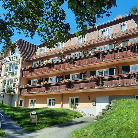 Parkhotel Bad Brambach-3