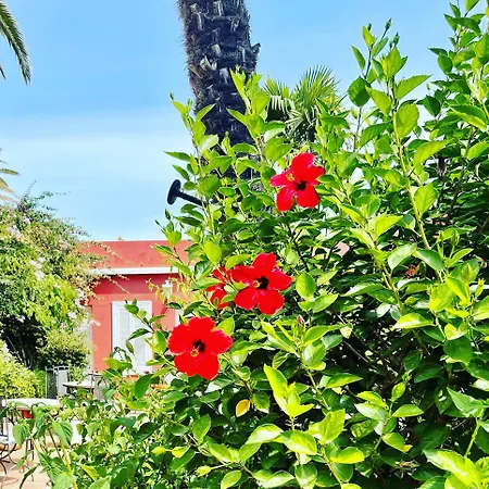 Hotel La Peña-2