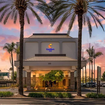 Comfort Inn Anaheim Resort-2