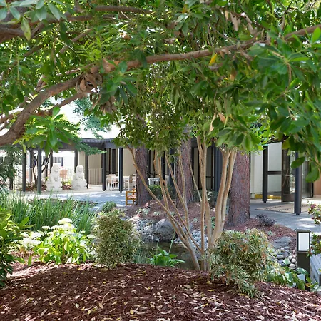 Sheraton Palo Alto Hotel-3