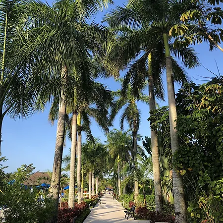 Allegro Cozumel All-Inclusive-3
