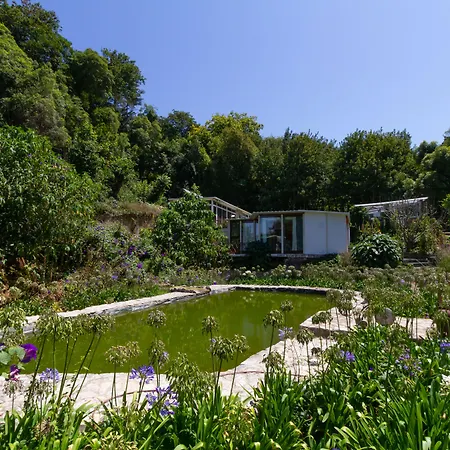 Quinta Das Murtas B&B-2